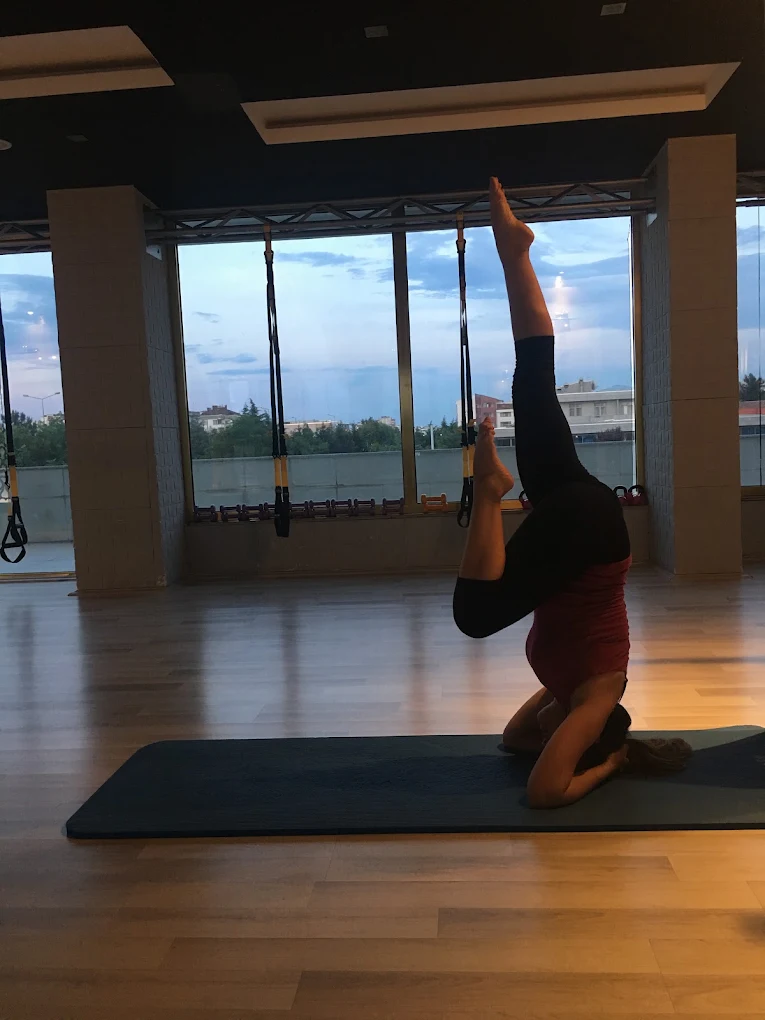 Queen Fitness Reformer Pilates Atakum